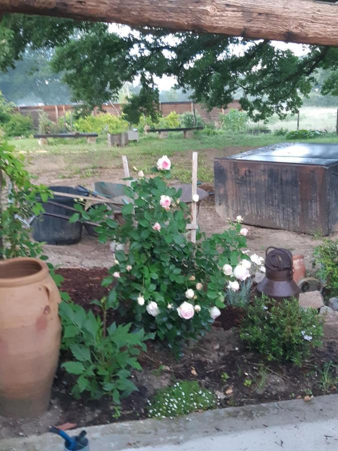 Atelier Natur'L Les Ronzieres Saint-Paul-d'Uzore エクステリア 写真